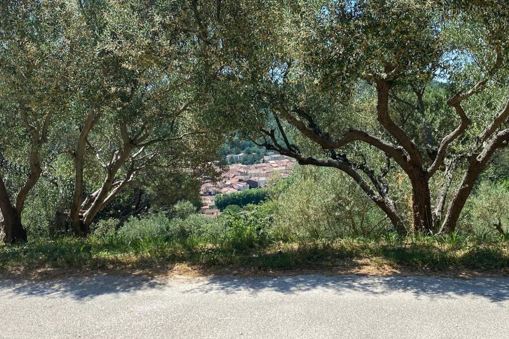 Studio Collobrieres Vue Sur Village المظهر الخارجي الصورة
